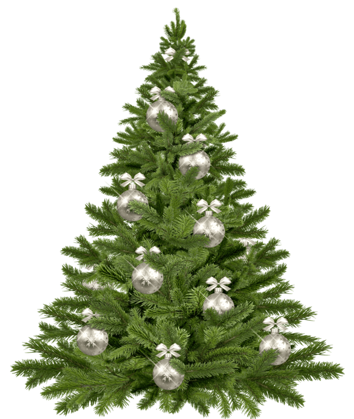 christmas-tree-1853582_1920(1)